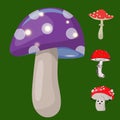 Vector amanita mushrooms dangerous set poisonous season toxic fungus food illustration. Royalty Free Stock Photo