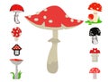 Vector amanita mushrooms dangerous set poisonous season toxic fungus food illustration. Royalty Free Stock Photo