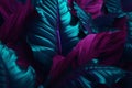 palm tropical purple night background exotic leaf plant neon jungle art. Generative AI. Royalty Free Stock Photo