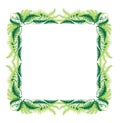 Style Fern Frame