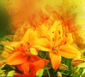 Styled flower - lily Royalty Free Stock Photo