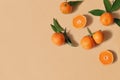 Styled stock photo. Decorative summer fruit composition. Whole and sliced orange tangerines, citrus fruit and leaves