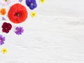 Styled stock photo. Feminine desktop floral composition with wild and edible garden flower. Poppy, pansy geranium and