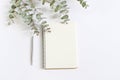 Styled stock photo. Feminine desktop mockup scene with green eucalyptus leaves, ballpoint pen and blank notebook Royalty Free Stock Photo