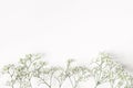 Styled stock photo. Feminine wedding, birthday composition with baby`s breath Gypsophila flowers. White table background