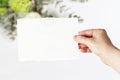 Styled stock photo. Feminine wedding, birthday greeting card mockup scene with woman`s hand in holding blank paper card
