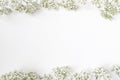 Styled Stock Photo. Feminine Wedding Desktop With Baby`s Breath Gypsophila Flowers On White Background. Empty Space