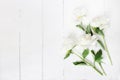 Styled stock photo. Feminine wedding table composition with white peonies flowers on old white wooden background. Empty Royalty Free Stock Photo