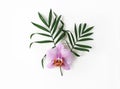 Styled stock photo. Jungle floral composition of green palm leaves and pink Phalenopsis orchid flower isolated on white