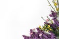 Styled stock photo. Spring botanical scene, floral composition. Decorative banner, corner made of purple lilac, yellow