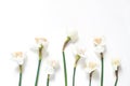 Styled stock photo. Spring, Easter composition with narcissus, daffodils flowers isolated on white table background