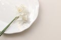 Styled stock photo. Spring, Easter feminine desktop scene with white narcissus, daffodils flowers on porcelain plate