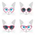 Stylised cat faces with fashionable trendy glasses