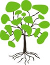 Stylised hand drawn tree with green crown on white