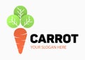 Stylish abstract carrot logo. Vegetarian sign. Carrot seeds icon. Gardening planting emblem