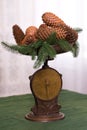 Stylish antique decor with pine cones. A handful of pine cones on an antique bronze scale