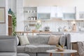 Stylish apartment interior with modern kitchen Royalty Free Stock Photo