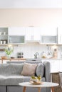 Stylish apartment interior with modern kitchen Royalty Free Stock Photo