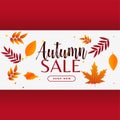 Stylish autumn sale banner with leaves