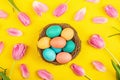 Stylish background with colorful easter eggs isolated on yellow background with pink tulip flowers. Flat lay, top view, mockup, Royalty Free Stock Photo