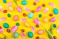 Stylish background with colorful easter eggs isolated on yellow background with pink tulip flowers. Flat lay, top view, mockup, Royalty Free Stock Photo