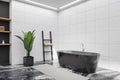Stylish bathroom interior with bathtub, plant and shelf. Empty wall Royalty Free Stock Photo