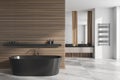 Stylish bathroom interior with bathtub and two sinks. Empty wall Royalty Free Stock Photo