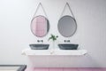 Stylish bathroom interior with two mirrors, decorative plant, shower and other items. Lifestyle, hotel and design concept. 3D