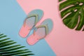 Stylish beach flip-flops on pink and blue pastel background with monstera and plam leaves Summer concept with copy space Royalty Free Stock Photo