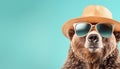 stylish bear in sunglasses and hat travel concept on pastel background with copy space