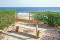 Stylish beautiful bench on nature near the sea background Royalty Free Stock Photo