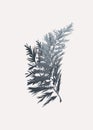 Stylish and beautiful fir tree branch for your Christmas and New Year designs and postcards