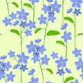 Forget-me-not Royalty Free Stock Photo