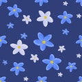 Forget-me-not Royalty Free Stock Photo