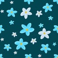 Forget-me-not Royalty Free Stock Photo