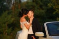 Stylish beautiful happy bride and groom, wedding celebrations Royalty Free Stock Photo