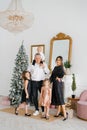 A stylish beautiful large family celebrates Christmas and New Year in the living room in their house near the Christmas tree Royalty Free Stock Photo