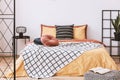 Stylish bedroom design with orange and yellow colors Royalty Free Stock Photo
