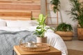 Stylish bedroom interior with plants. Home design ideas Royalty Free Stock Photo