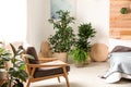 Stylish bedroom interior with plants. Home design ideas Royalty Free Stock Photo