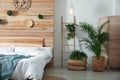 Stylish bedroom interior with plants. Home design ideas Royalty Free Stock Photo