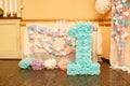 Stylish Birthday decorations for little girl on her first birthday