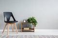 Stylish black chair next to shelf with two books, clock and green plant in pot