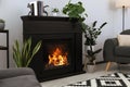 Stylish black fireplace and green plants in living room. Interior design Royalty Free Stock Photo