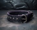 Stylish black leather collar adorned with gleaming silver hardware for a trendy and fashionable pet accessory, cute domestic pet