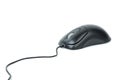 Stylish black optical computer mouse Royalty Free Stock Photo
