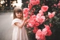 Stylish blonde baby girl 2-3 year old posing over rose flowers in park outdoors. Royalty Free Stock Photo