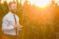 Stylish, blonde, businessman holding a black, new tablet and standing in the middle of green and yellow corn field during sunrise Royalty Free Stock Photo