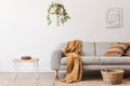 Modern boho interior of living room at cozy apartment with gray sofa. Royalty Free Stock Photo