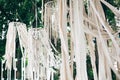 Stylish boho decor on trees. Modern bohemian decoration of white macrame and ribbons, hanging on branches in summer park. Wedding Royalty Free Stock Photo